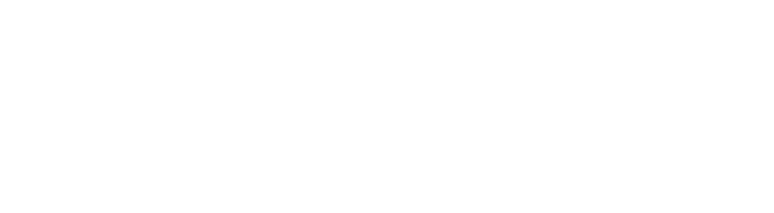logo-final white (1)